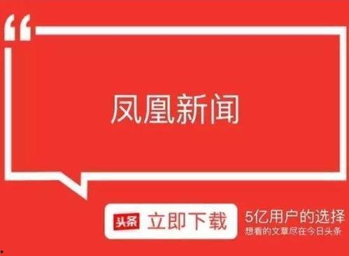凤凰新闻今天头条新闻,聚焦[具体新闻主题]，揭示[事件/现象]背后真相
