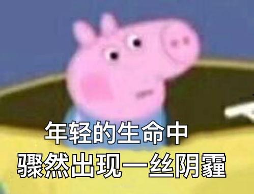 忧郁小猪吃瓜表情包,网络时代的情感共鸣