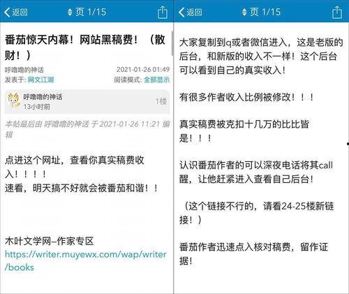 头条非签约作者分账比例,揭秘收益分配背后的秘密