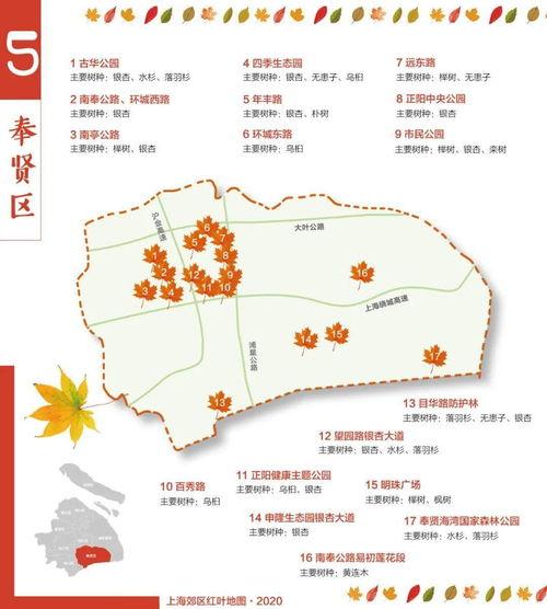 幼儿园网红拍照地图,探索童趣时光的打卡胜地