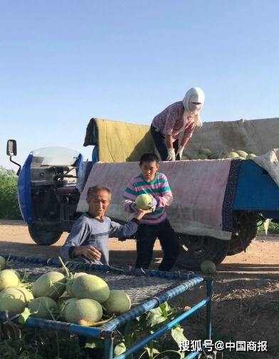 甘肃吃瓜群众文创,趣味盎然的文化创意之旅