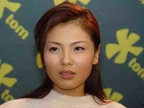 颧骨高的明星图片,揭秘颧骨高明星的独特风采