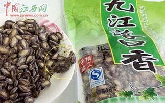 老鼠冒头吃瓜,瓜田里的神秘冒头事件