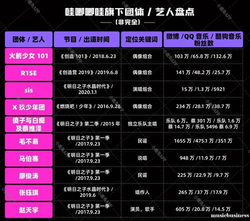 明星艺人 发展 定位,精准定位成就璀璨星途