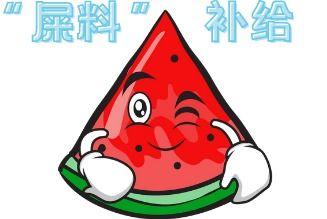 爆笑人们吃瓜现场,笑翻现场！吃瓜群众们的欢乐瞬间