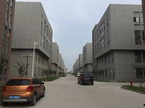 湖南澧县杨家坊新闻头条,揭秘杨家坊最新动态与重大事件