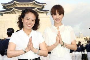 明星和花合照,璀璨星光下的自然盛宴