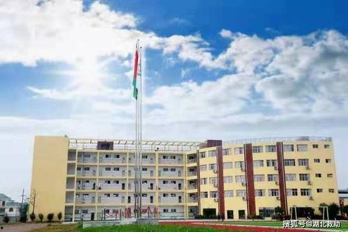 吃瓜湖北城建,湖北城建背后的故事与真相