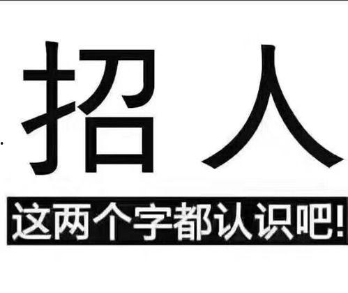 上海明星经纪公司招聘,上海明星经纪公司热招行业精英
