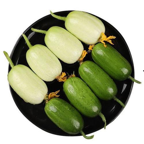 小鸡瓜怎样吃才好吃,小鸡瓜美味食法大揭秘