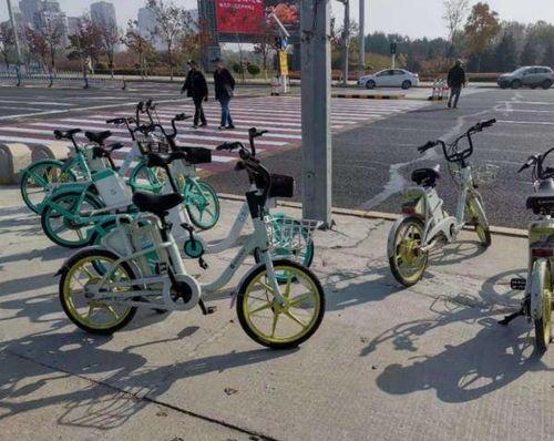 哈尔滨自行车爆料视频,揭秘城市交通新现象