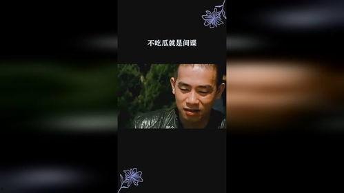 吃瓜明星间谍是谁,吃瓜明星背后的间谍身份大揭秘