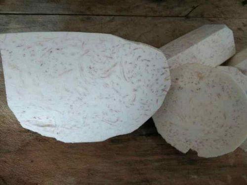 芋头条应用于,揭秘芋头界的“网红”美食，带你领略芋头新吃法