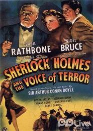 恐怖之声在线观看,在线惊悚之旅，揭秘黑暗深处的恐惧之声