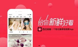 西瓜头条正能量文章,传递正能量，点亮生活希望之光