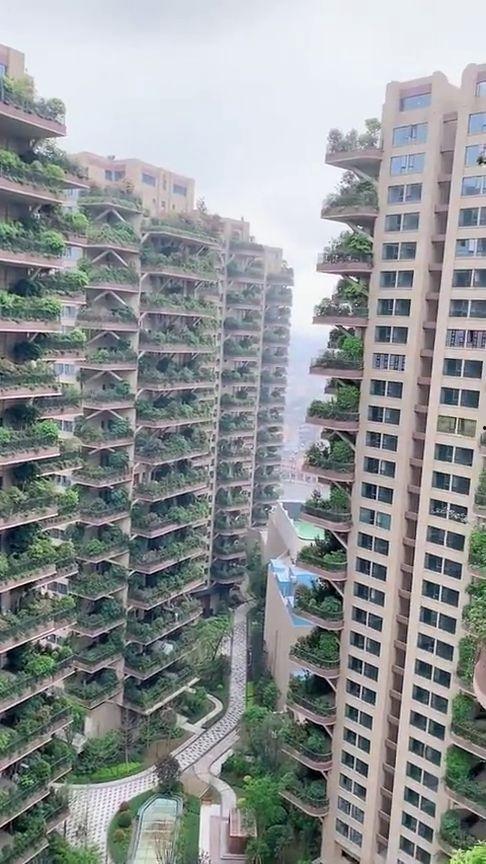 网红小区可以住吗吗,宜居之地，生活新选择