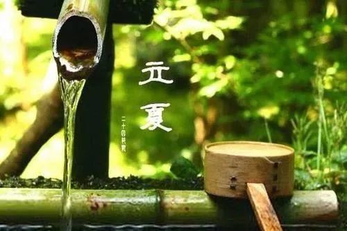 头条立夏经典语录