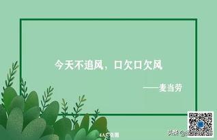 感恩在头条相识的文案,缘起相识，共筑美好回忆