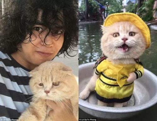 越南网红猫,萌动越南，征服全球网友的心