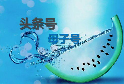 什么叫头条号的母子号,如何构建高效内容生态