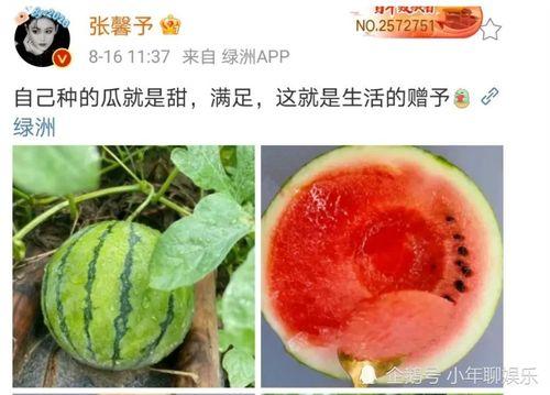 最近娱乐圈有什么瓜吃